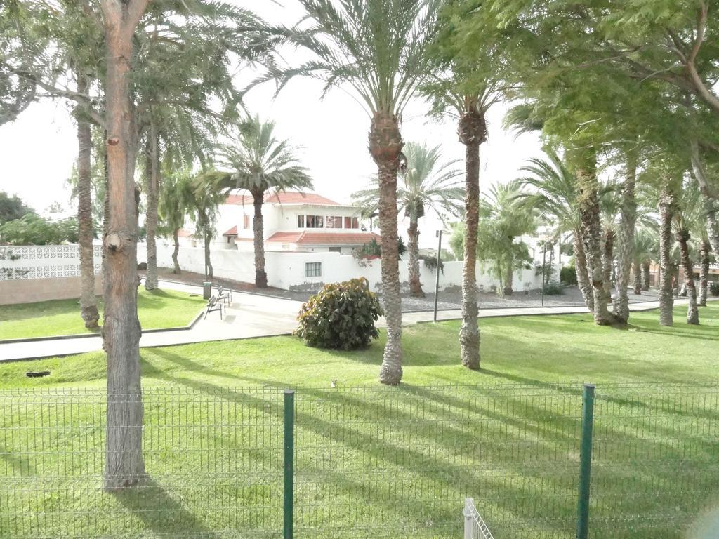 Apartment Virginia Playa de las Americas (Tenerife) Exterior photo